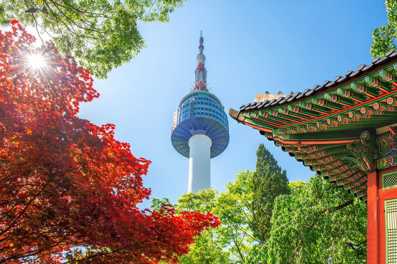 seoul-tower-with-gyeongbokgung-roof-red-autumn-maple-leaves-namsan-mountain-south-korea_335224-419